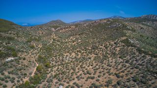 Αγροτεμάχια 25.160 τ.μ. προς πώληση, Κέντρο Ερμιόνης-thumb-19