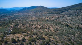 Αγροτεμάχια 25.160 τ.μ. προς πώληση, Κέντρο Ερμιόνης-thumb-9