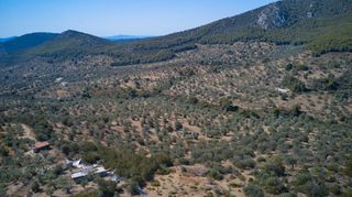 Αγροτεμάχια 25.160 τ.μ. προς πώληση, Κέντρο Ερμιόνης-thumb-13