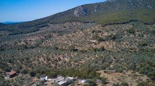 Αγροτεμάχια 25.160 τ.μ. προς πώληση, Κέντρο Ερμιόνης-thumb-8