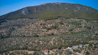 Αγροτεμάχια 25.160 τ.μ. προς πώληση, Κέντρο Ερμιόνης-thumb-16