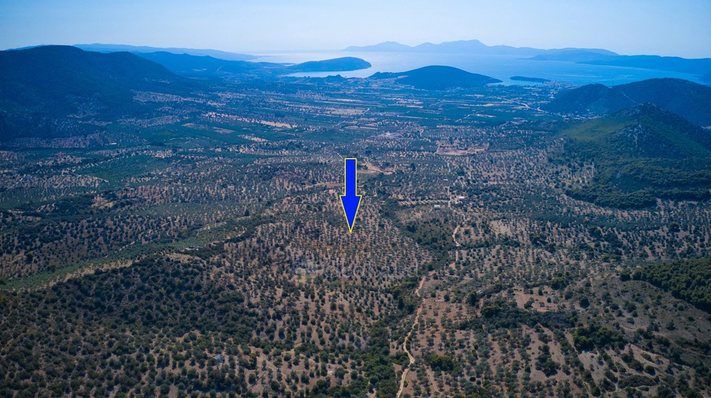 Αγροτεμάχια 25.160 τ.μ. προς πώληση, Κέντρο Ερμιόνης