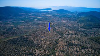 Αγροτεμάχια 25.160 τ.μ. προς πώληση, Κέντρο Ερμιόνης-thumb-3