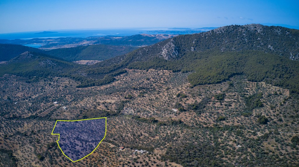 Αγροτεμάχια 25.160 τ.μ. προς πώληση, Κέντρο Ερμιόνης