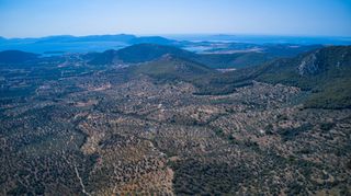 Αγροτεμάχια 25.160 τ.μ. για πώληση