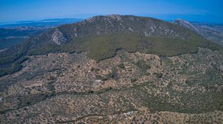 Αγροτεμάχια 25.160 τ.μ. προς πώληση, Κέντρο Ερμιόνης-thumb-12