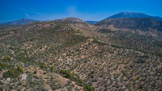 Αγροτεμάχια 25.160 τ.μ. προς πώληση, Κέντρο Ερμιόνης-thumb-10