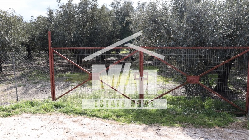 Αγροτεμάχια 6.808 τ.μ. προς πώληση, Αιτωλοακαρνανία, Θεστιές