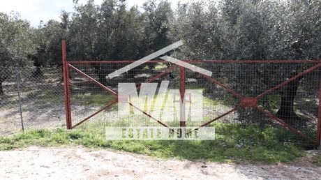 Parcel 6.808sqm for sale-Thesties » Kainourgio