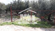 Parcel 6.808sqm for sale-Thesties » Kainourgio
