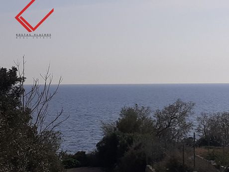 Οικόπεδο 1.070τ.μ. για πώληση-Βάρη- βάρκιζα » Ασύρματος αλίανθου