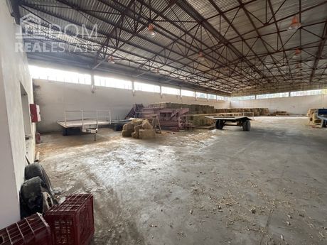 Επιχειρηματικό κτίριο 1.000τ.μ. για πώληση-Αταλάντη » Κυπαρίσσι