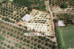 Αγροτεμάχια 2.985τ.μ. για πώληση-Θεστιές » Παναιτώλιο