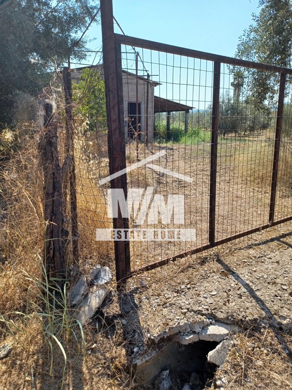 Αγροτεμάχια 2.985 τ.μ. προς πώληση, Αιτωλοακαρνανία, Θεστιές