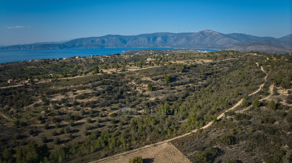 Αγροτεμάχια 104.000 τ.μ. προς πώληση, Λάκκες Κρανιδίου