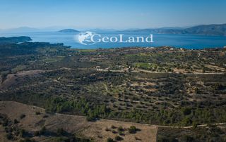 Αγροτεμάχια 44.286 τ.μ. προς πώληση, Αργολίδα, Κρανίδι-thumb-22