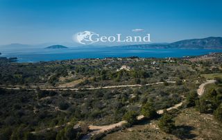 Αγροτεμάχια 44.286 τ.μ. προς πώληση, Αργολίδα, Κρανίδι-thumb-6