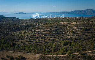 Αγροτεμάχια 44.286 τ.μ. προς πώληση, Αργολίδα, Κρανίδι-thumb-9