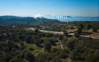 Αγροτεμάχια 44.286 τ.μ. προς πώληση, Αργολίδα, Κρανίδι-thumb-12