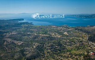 Αγροτεμάχια 44.286 τ.μ. προς πώληση, Αργολίδα, Κρανίδι-thumb-3