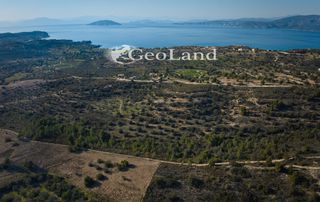 Αγροτεμάχια 44.286 τ.μ. προς πώληση, Αργολίδα, Κρανίδι-thumb-13