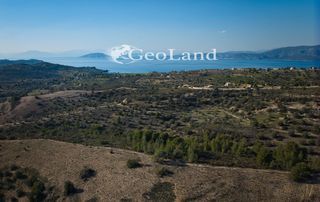 Αγροτεμάχια 44.286 τ.μ. προς πώληση, Αργολίδα, Κρανίδι-thumb-10