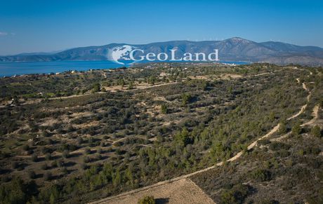 Parcel 44.286sqm for sale-Kranidi » Lakkes