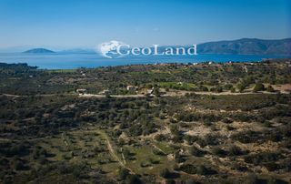 Αγροτεμάχια 44.286 τ.μ. προς πώληση, Αργολίδα, Κρανίδι-thumb-11