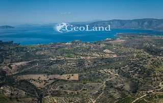 Αγροτεμάχια 44.286 τ.μ. προς πώληση, Αργολίδα, Κρανίδι-thumb-17