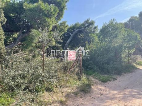 Οικόπεδο 1.170 τ.μ. για πώληση