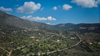Οικόπεδο 703 τ.μ. για πώληση, Αργολίδα, Κρανίδι-thumb-13