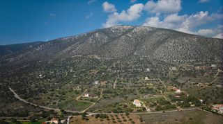 Οικόπεδο 703 τ.μ. για πώληση, Αργολίδα, Κρανίδι-thumb-12