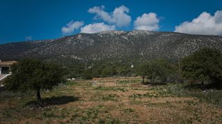 Οικόπεδο 703 τ.μ. για πώληση, Αργολίδα, Κρανίδι-thumb-6
