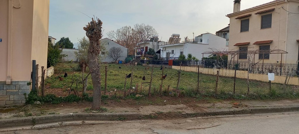 Οικόπεδο 1.080 τ.μ. πρός πώληση, Μαγνησία, Αλμυρός