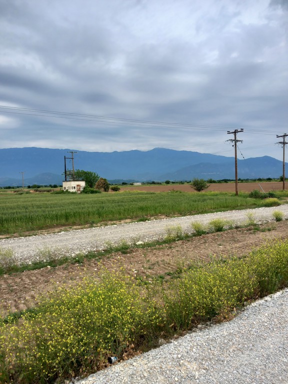 Αγροτεμάχια 9.000 τ.μ. πρός πώληση, Ν. Τρικάλων, Βασιλική