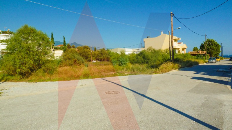 Οικόπεδο 555 τ.μ. πρός πώληση, Μαγνησία, Βόλος