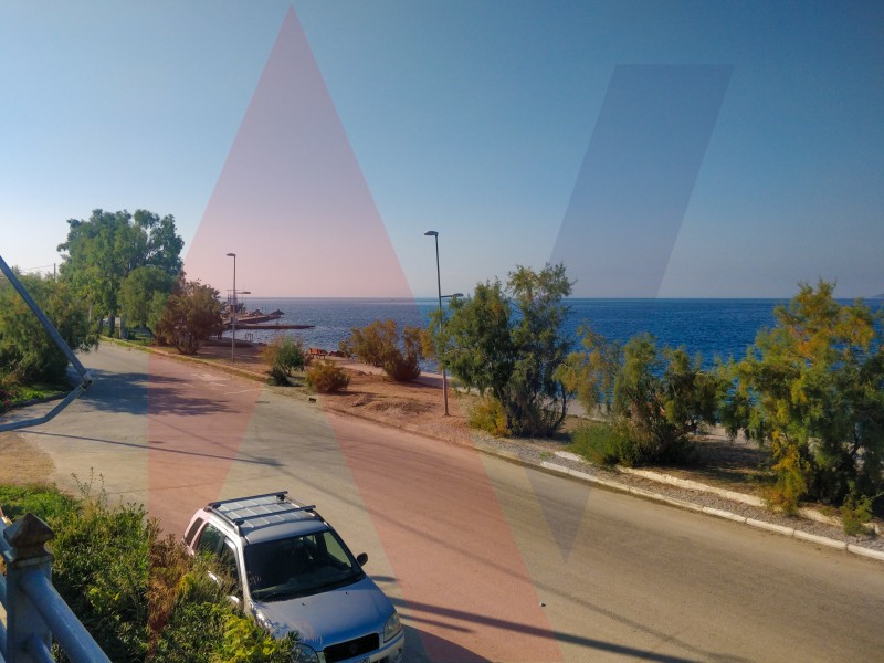 Μονοκατοικία 298 τ.μ. πρός πώληση, Μαγνησία, Αγριά