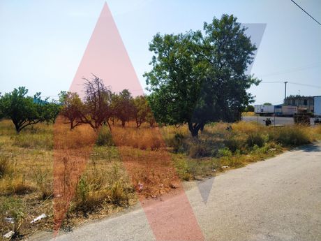 Οικόπεδο 8.331 τ.μ. για πώληση
