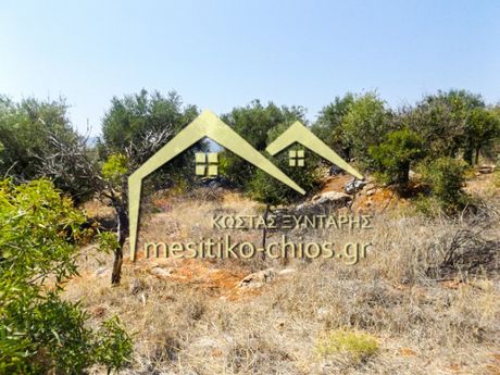 Οικόπεδο 4.134,68τ.μ. για πώληση-Χίος » Καμποχώρια