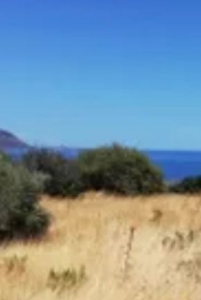 Land plot 1.000 sqm for sale, Rest Of Attica, Palaia Fokaia