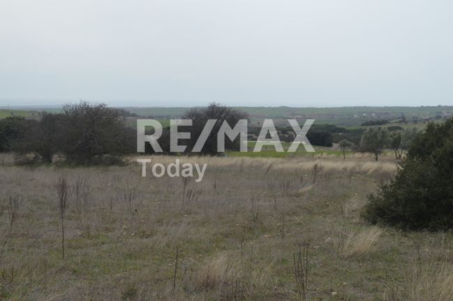Αγροτεμάχια 18.905 τ.μ. για πώληση, Θεσσαλονίκη - Περιφ/Κοί Δήμοι, Θέρμη