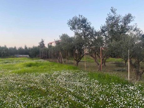 Land plot 1.003sqm for sale-Velo » Ellinochori