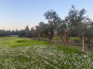 Οικόπεδο 1.003 τ.μ. για πώληση