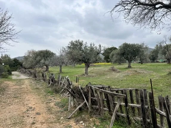 Αγροτεμάχια 5.500 τ.μ. για πώληση, Εύβοια, Ερέτρια