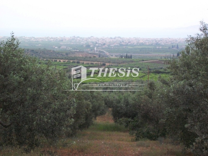 Οικόπεδο 8.011 τ.μ. προς πώληση, Ζευγολατιό Βόχας