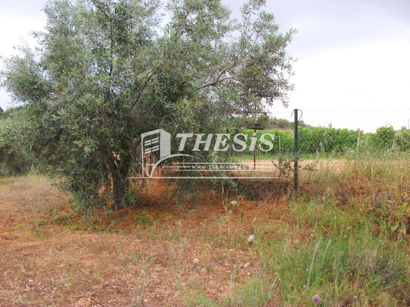Οικόπεδο 8.011 τ.μ. για πώληση, Κορινθία, Βόχα