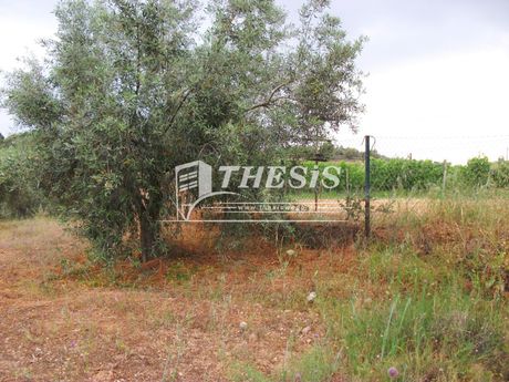 Land plot 8.011sqm for sale-Vocha » Zevgolatio