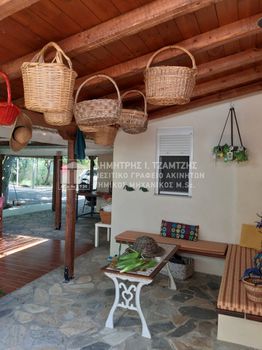 Μονοκατοικία 79τ.μ. για πώληση-Αγριά » Κέντρο