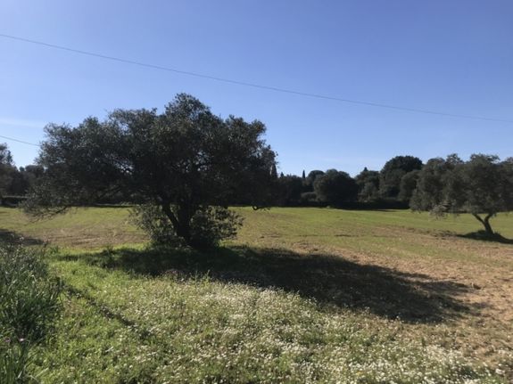 Parcel 4.172 sqm for sale, Kefallinia Prefecture, Kefalonia