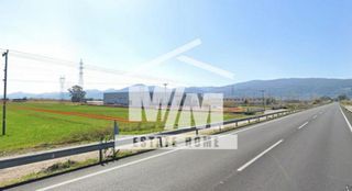 Αγροτεμάχια 15.000 τ.μ. πρός πώληση